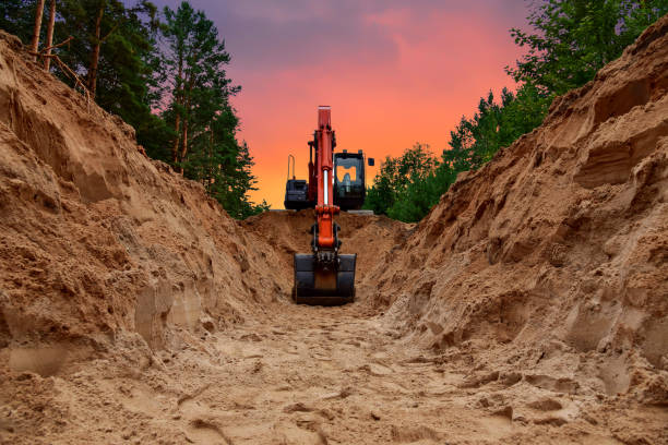 istockphoto 1287874597 612x612 1