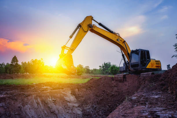 istockphoto 914932910 612x612 1